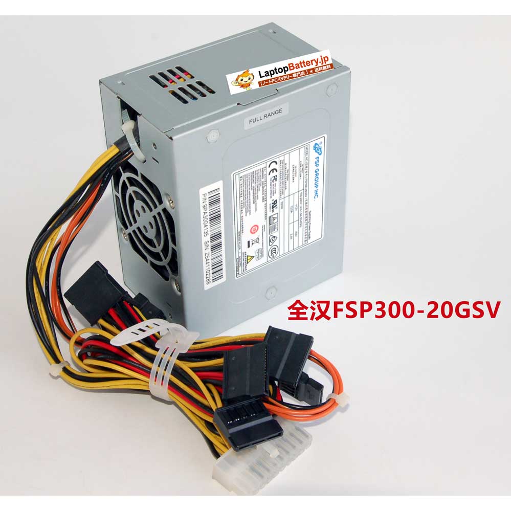  FSP FSP300-20GSV PC
